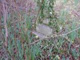 image of grave number 233025
